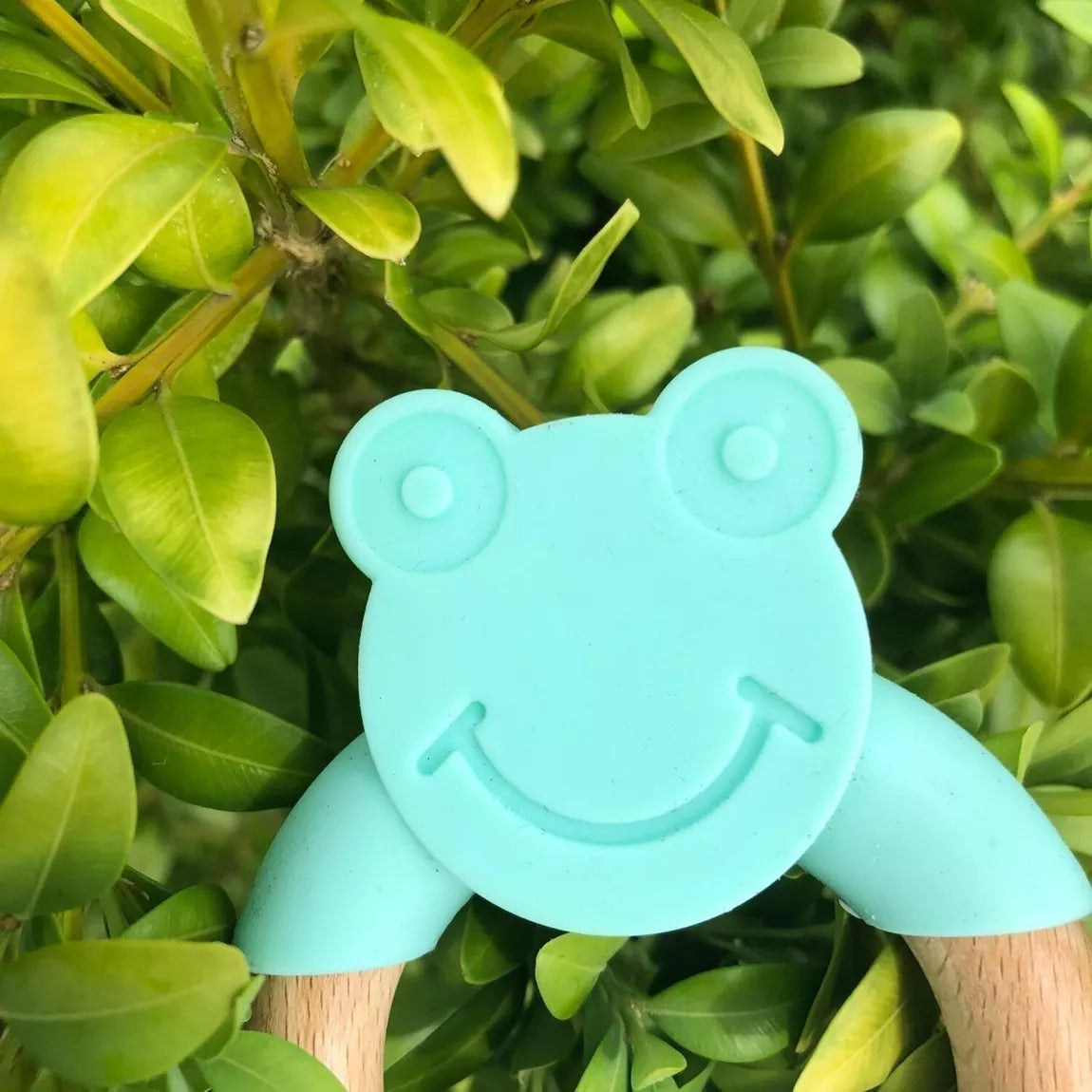 Silicone Baby Teether - Frog