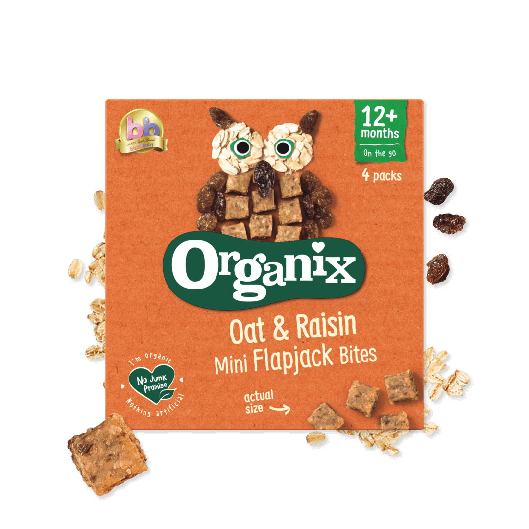 Organix Oat & Raisin Mini Flapjack Bites
