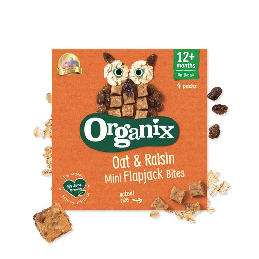 Organix Oat & Raisin Mini Flapjack Bites