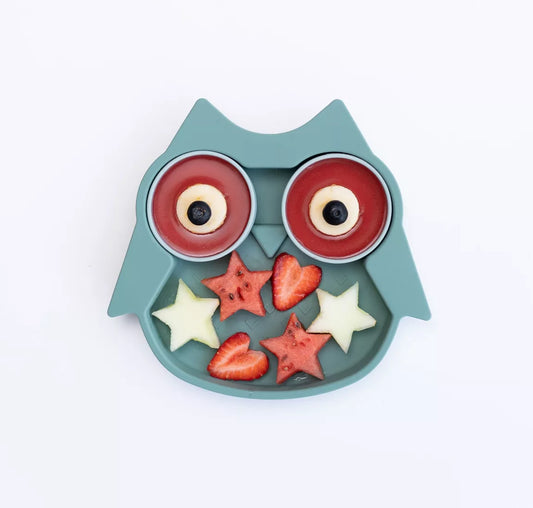 Owl Compartmentalised Plate
