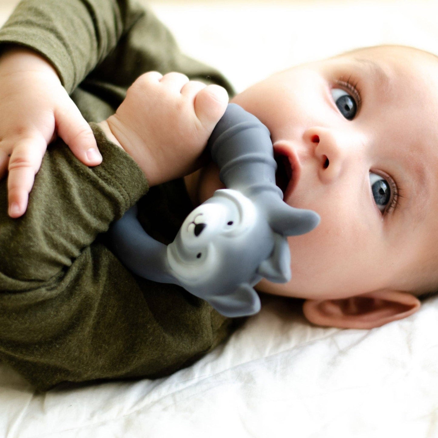 Natural rubber Teether Raccoon - Grey