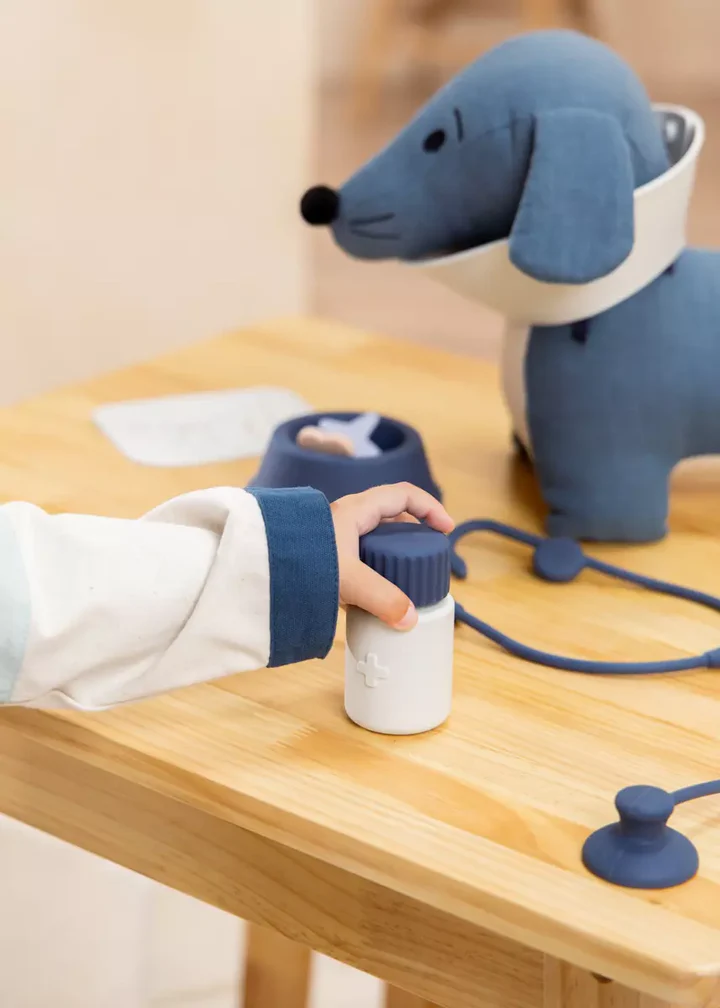 Silicone Veterinary Kit – Educational Games - Ideal Gift